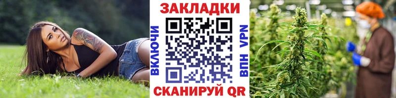 Где можно купить наркотики Бородино СК  ГАШ  Кодеин  КОКАИН  МАРИХУАНА 