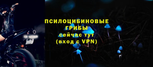 apvp Балабаново