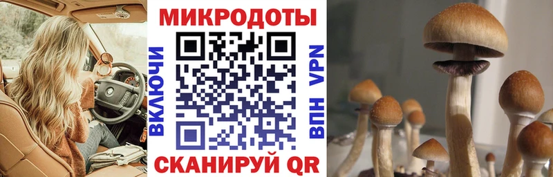 дарк нет клад  Бородино  Псилоцибиновые грибы мухоморы 